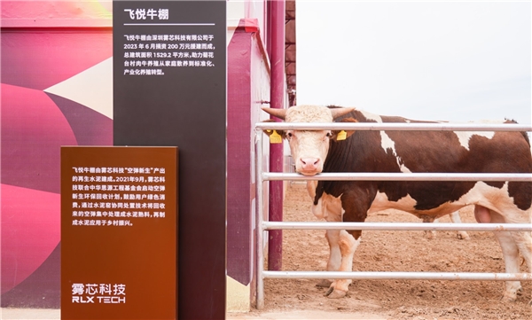 悦刻乡村振兴最新成果：在宁夏，用空弹再生水泥建牛棚、晾晒场