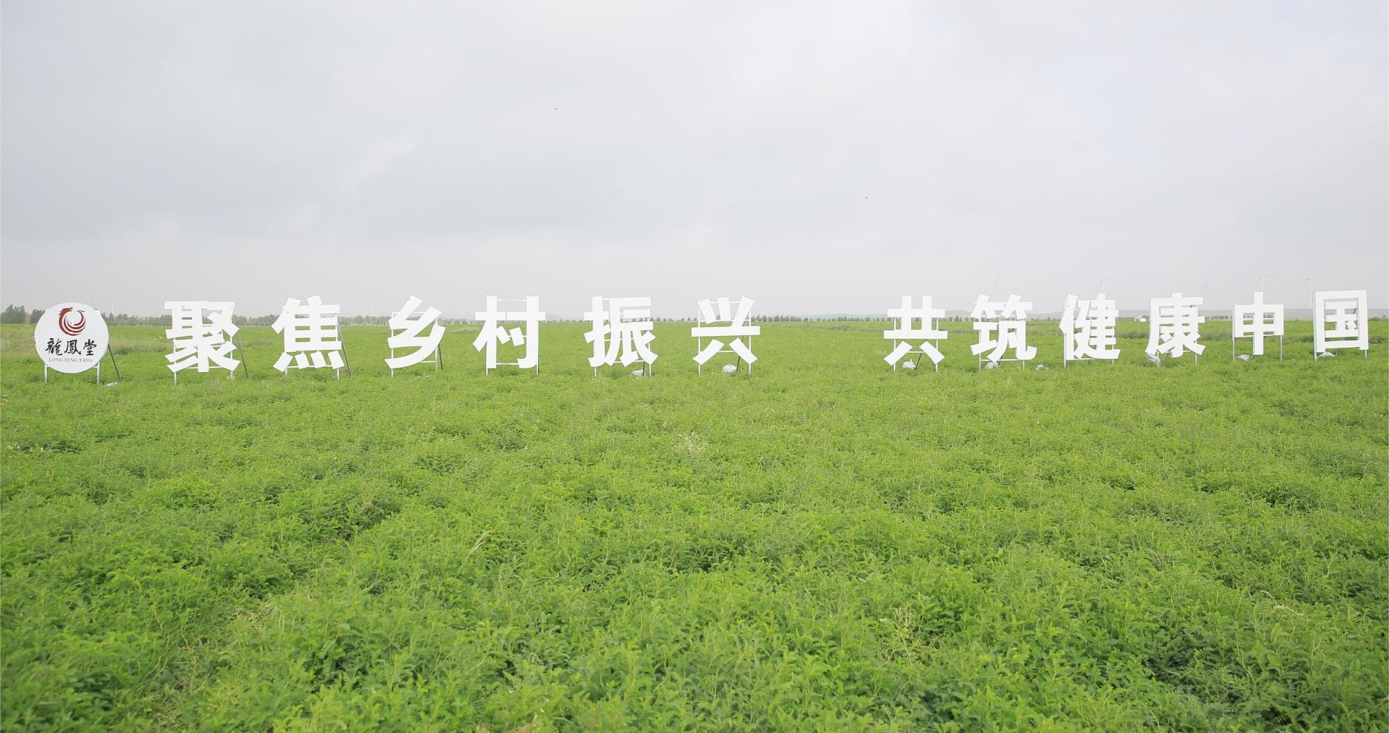 中药材铺就乡村振兴路，扬子江药业集团荣获人民网社会责任大奖